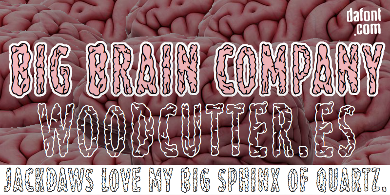 Big Brain Company Font