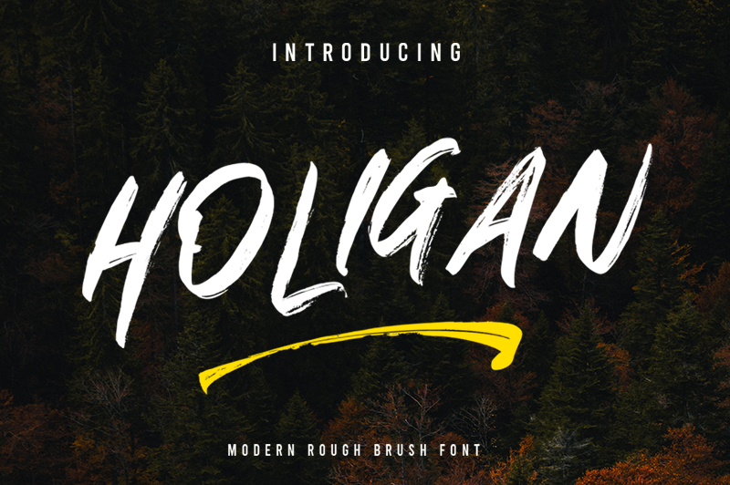 Holigan Font