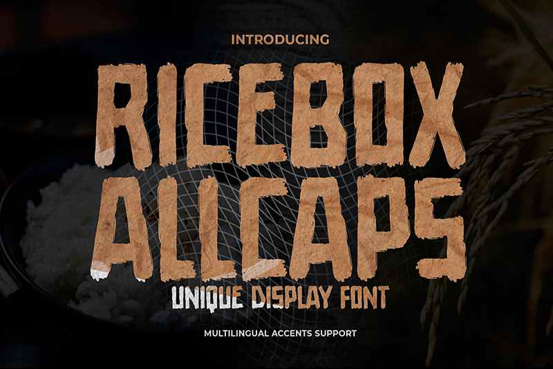 Ricebox Allcaps Font