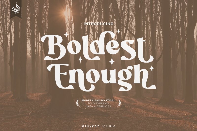 Boldest Enough Font