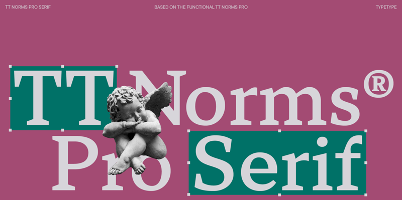 TT Norms Pro Serif Font
