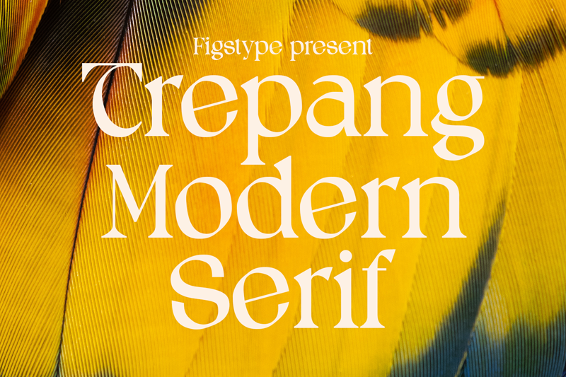 Trepang Font