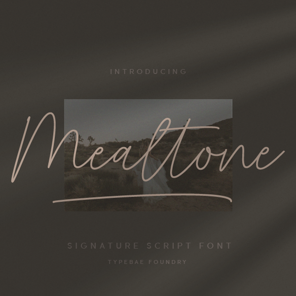 Mealtone Font