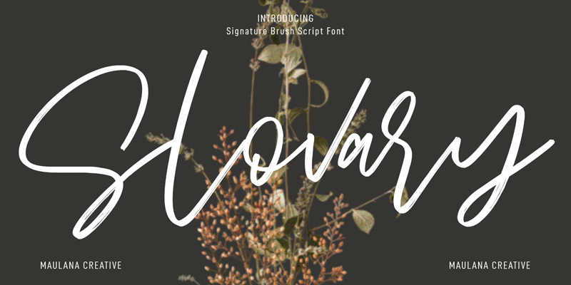 Slovary Font