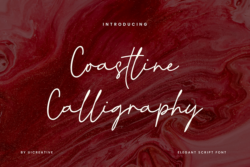 Coastline Calligraphy Script Font