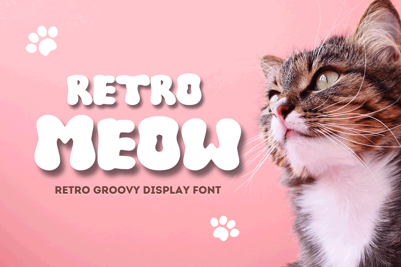 Retro Meow Font