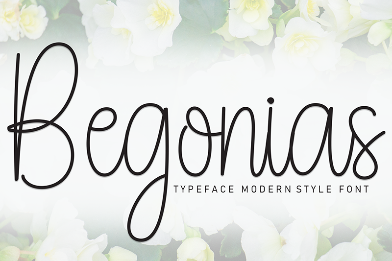 Begonias Font