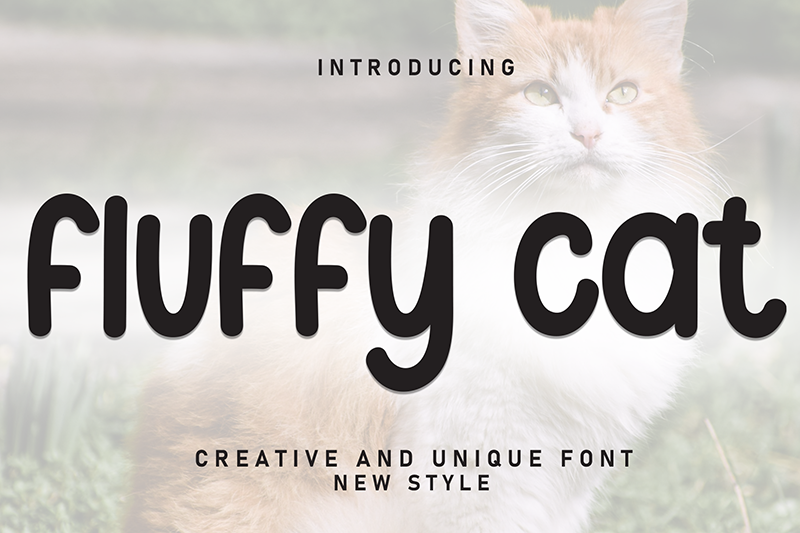 Fluffy Cat Font