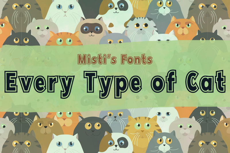 Every Type of Cat Font
