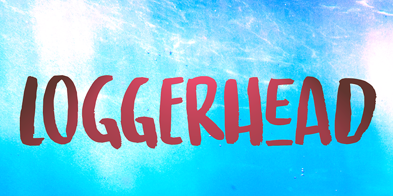Loggerhead Font