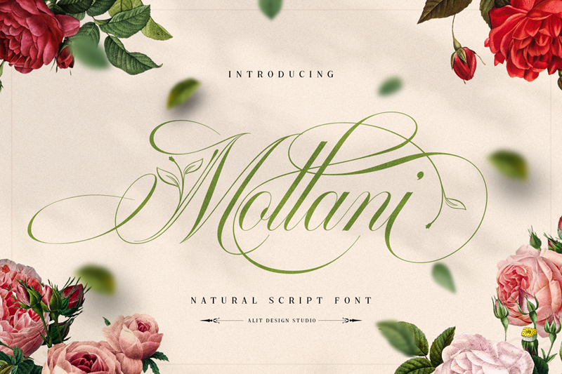 Mollani Font