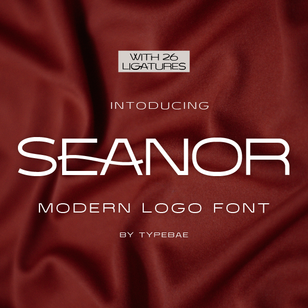 Seanor Font