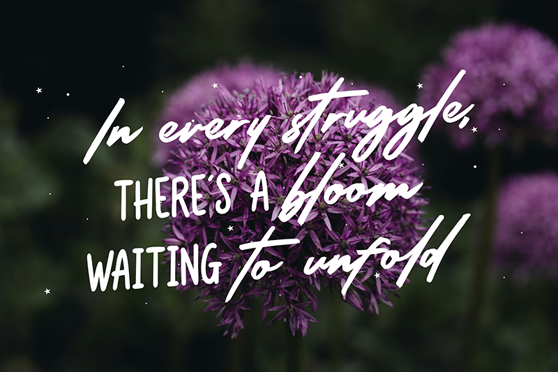 Radiant Brush Font