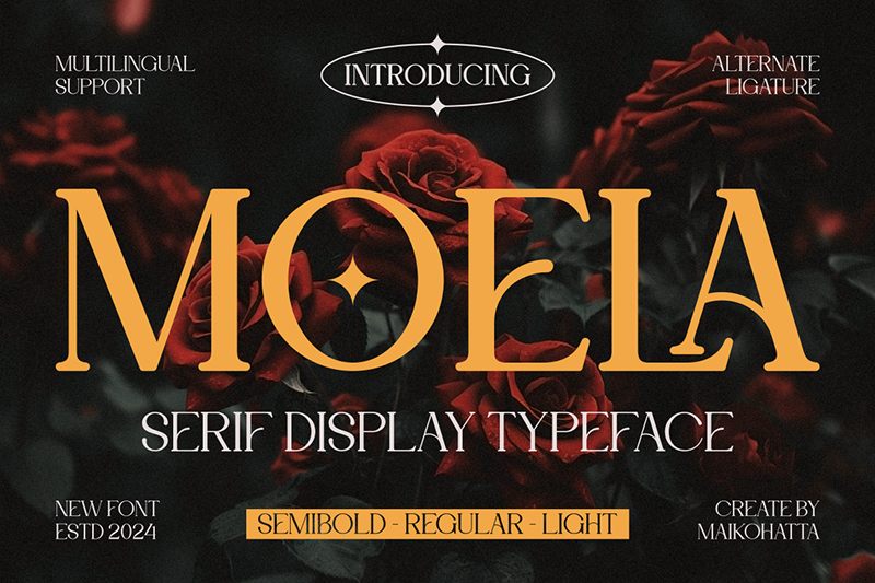 Moela Font
