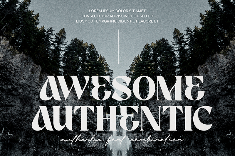 Page Serif Font