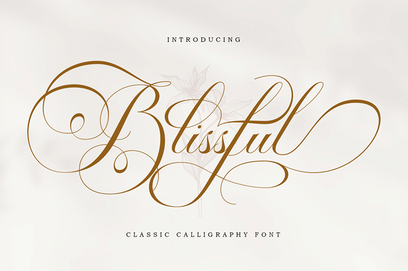 Blissful Script Font