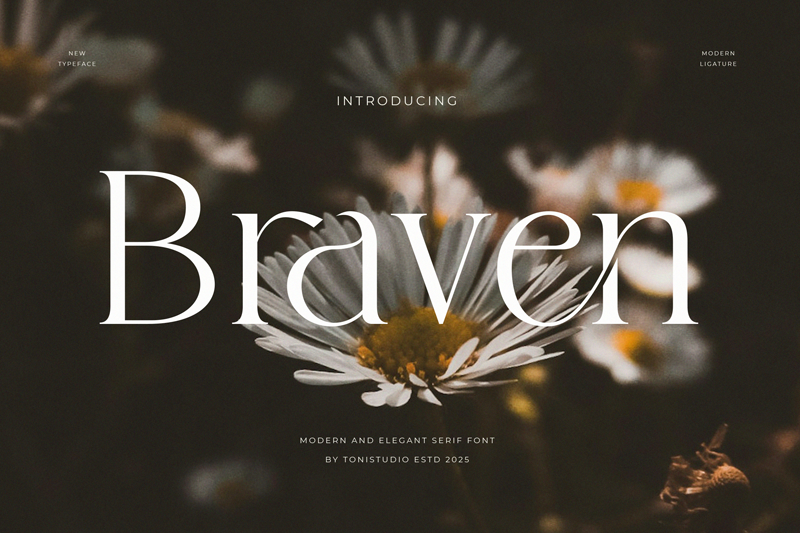 Braven Font