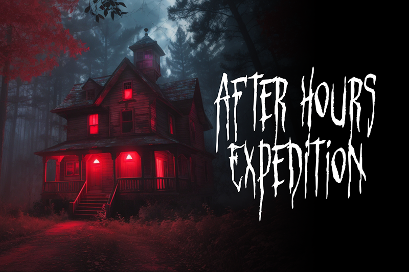 Phantom Phrases Font