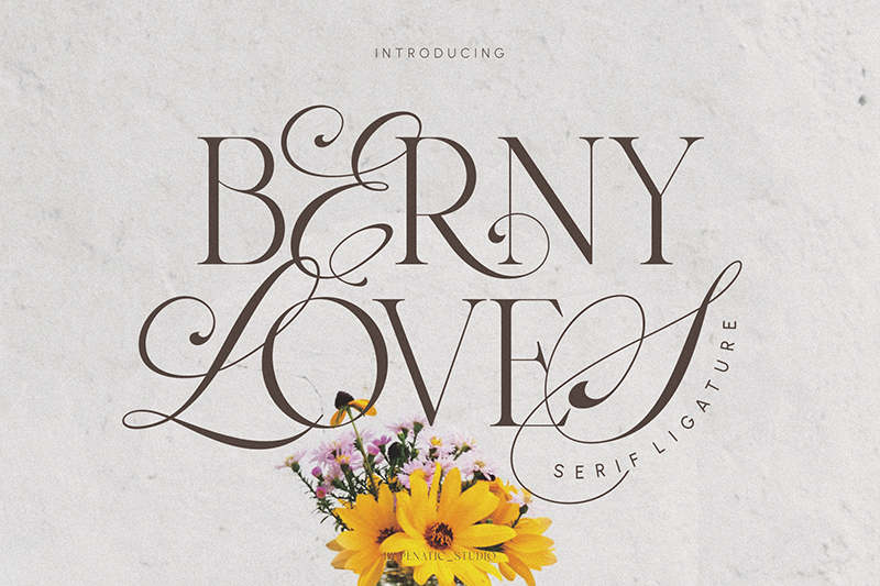 Berny Loves Font