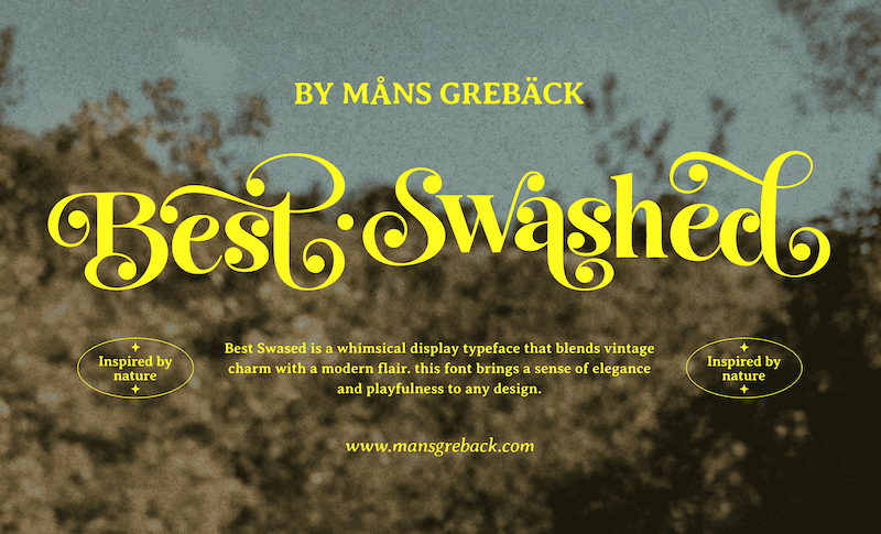Best Swashed Font
