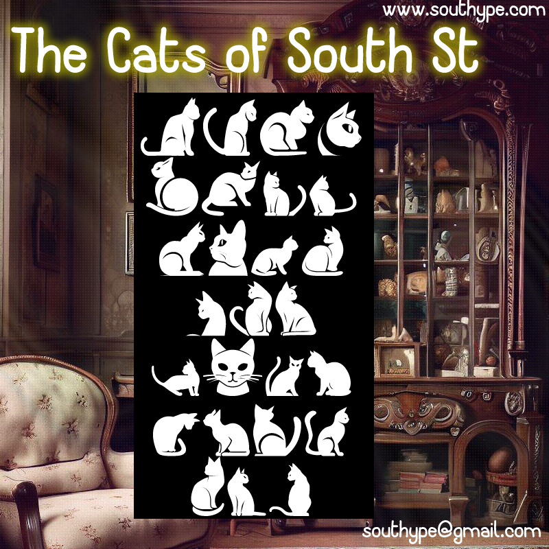 The Cats of South St Font