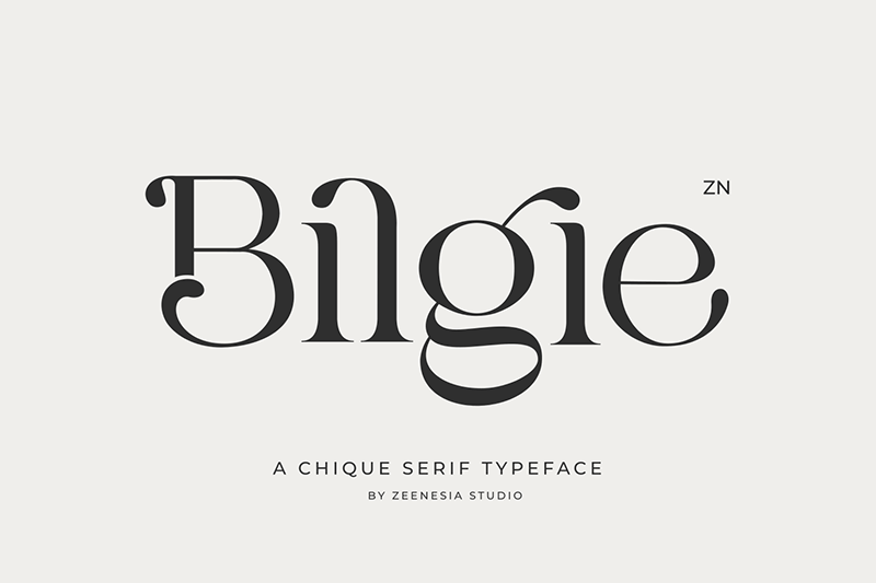 Bilgie Font