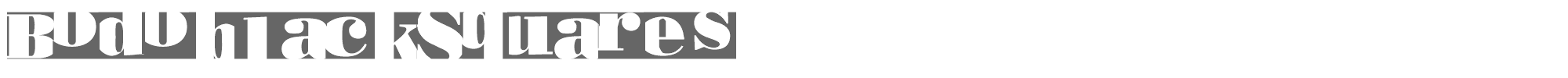 Bodoblack Squares BodoblackSquares.ttf font preview