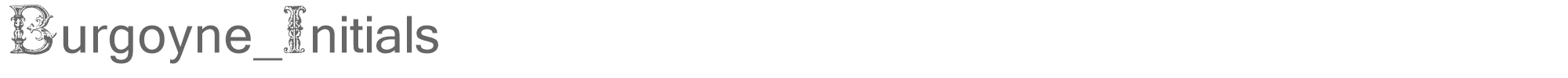 Burgoyne Initials BURGOYNE.TTF font preview