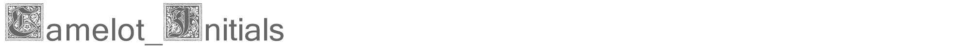 Sample characters Camelot Initials Font