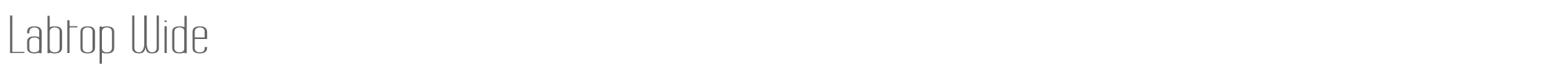 Labtop LABTOPW_.ttf font preview