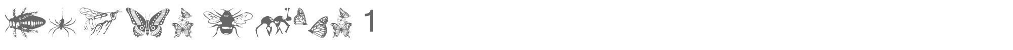 Sample characters WM Insects Font