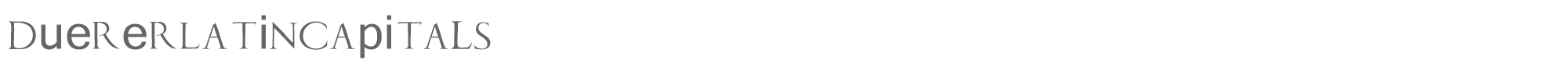 Sample characters Duerer Latin Font