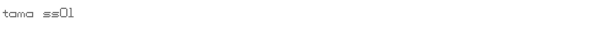 Sample characters Tama SS01 Font