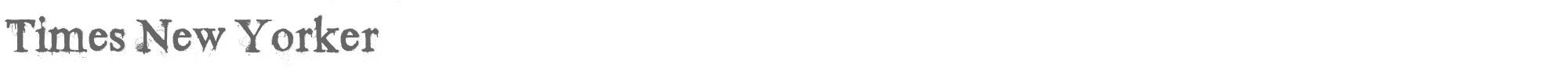 Sample characters Times New Yorker Font