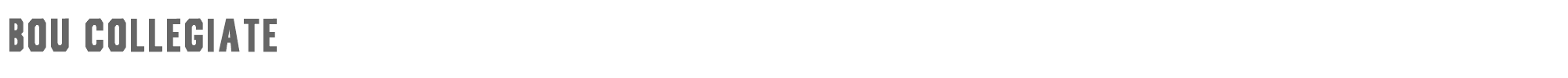 Sample characters Bou Collegiate Font