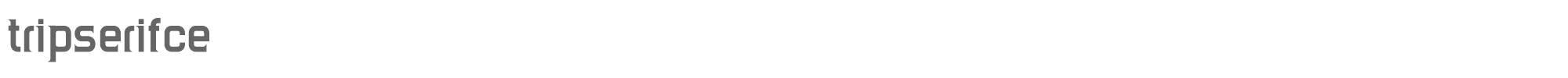 TripSerif CE TripSerifCE_Bold.ttf font preview