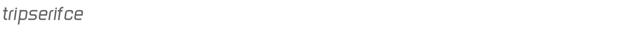 TripSerif CE TripSerifCE_Italic.ttf font preview