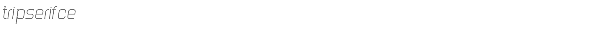 TripSerif CE TripSerifCE_LightItalic.ttf font preview