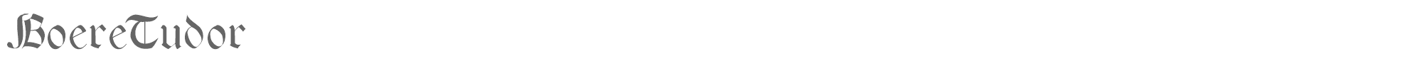 Boere Tudor BOERT___.ttf font preview