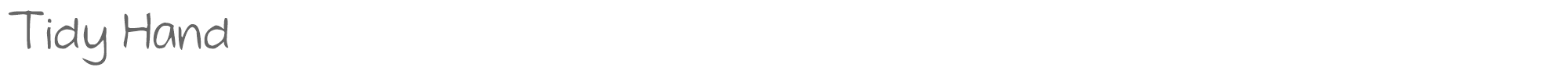 Tidy Hand TidyHand.ttf font preview