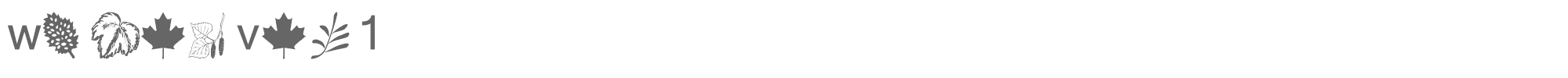 Sample characters WM Leaves 1 Font