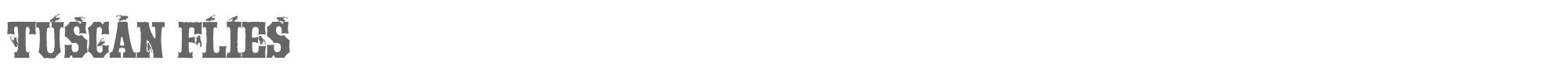 Tuscan Flies Tuscan_Flies.ttf font preview
