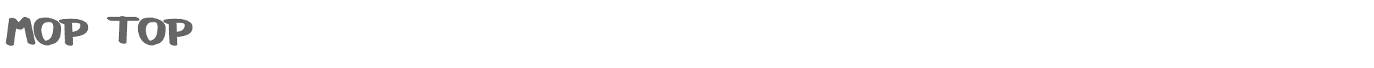 Mop Top MopTop.ttf font preview