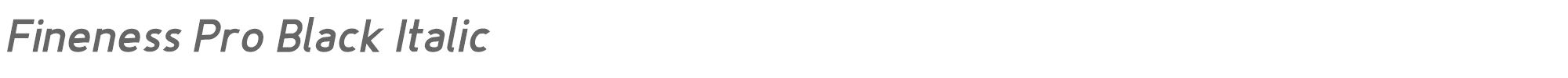 Fineness Pro FinenessProBlackItalic.otf font preview