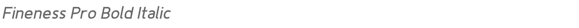 Fineness Pro FinenessProBoldItalic.otf font preview