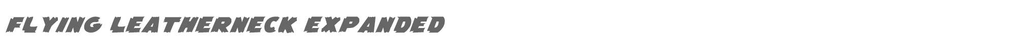 Flying Leatherneck flyingleatherv2expand.ttf font preview