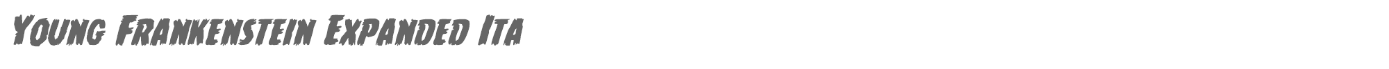 Young Frankenstein youngfrankexpandital.ttf font preview
