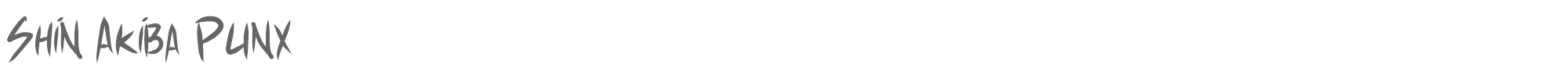 Shin Akiba Punx shinAkibapunx.ttf font preview