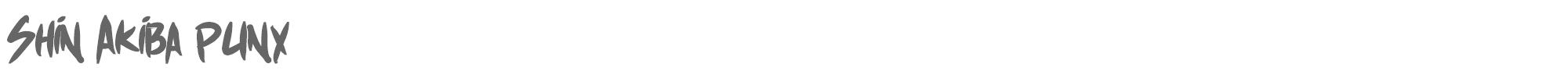 Shin Akiba Punx shinAkibapunx_bold.ttf font preview
