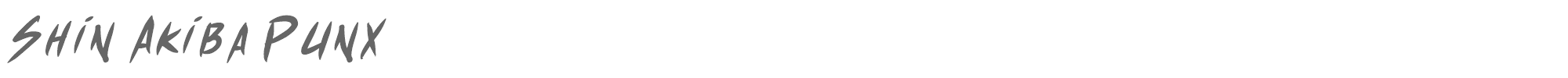 Shin Akiba Punx shinAkibapunx_bolital.ttf font preview